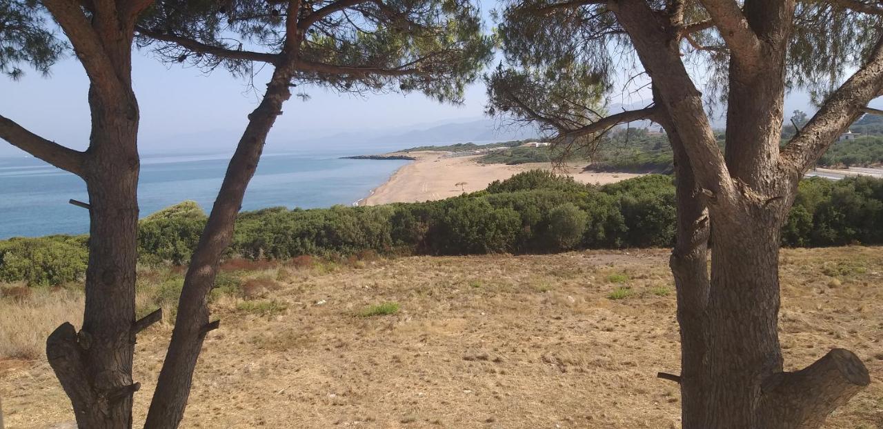 Tzanetos Seaside Villa Kyparissia Ngoại thất bức ảnh