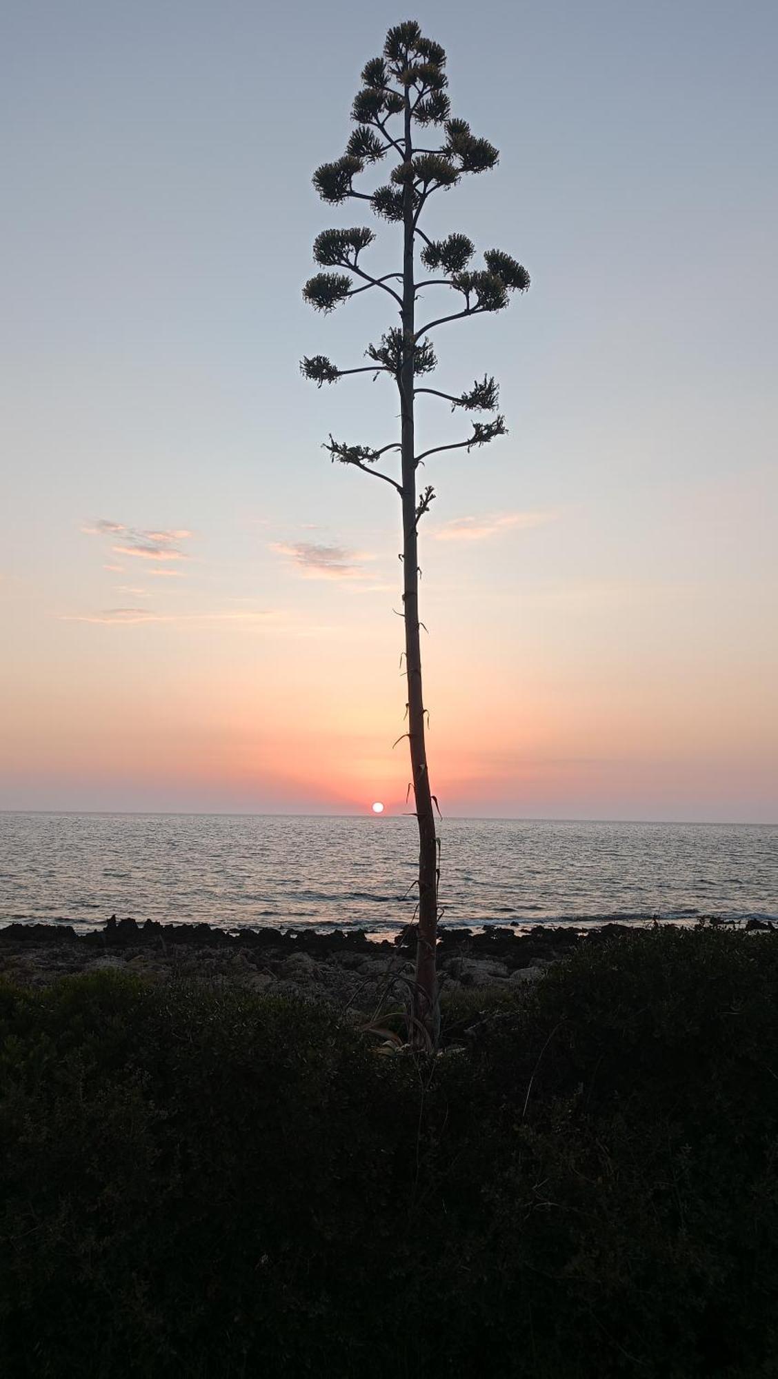 Tzanetos Seaside Villa Kyparissia Ngoại thất bức ảnh
